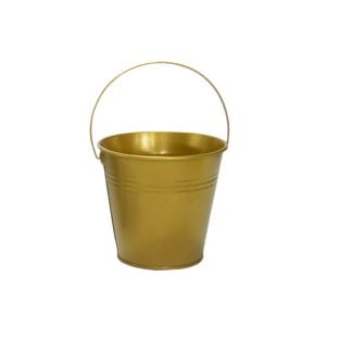 Mini Galvanized Bucket